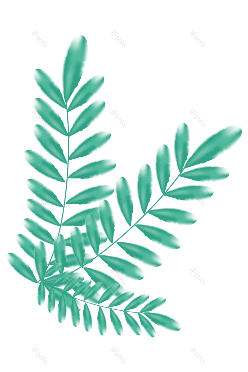 绿叶图片,花草元素,树叶PNG,植物免抠素材